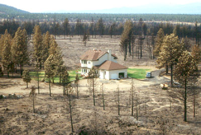 Defensible Space – Protect Your Central Valley Rental during Fire Season